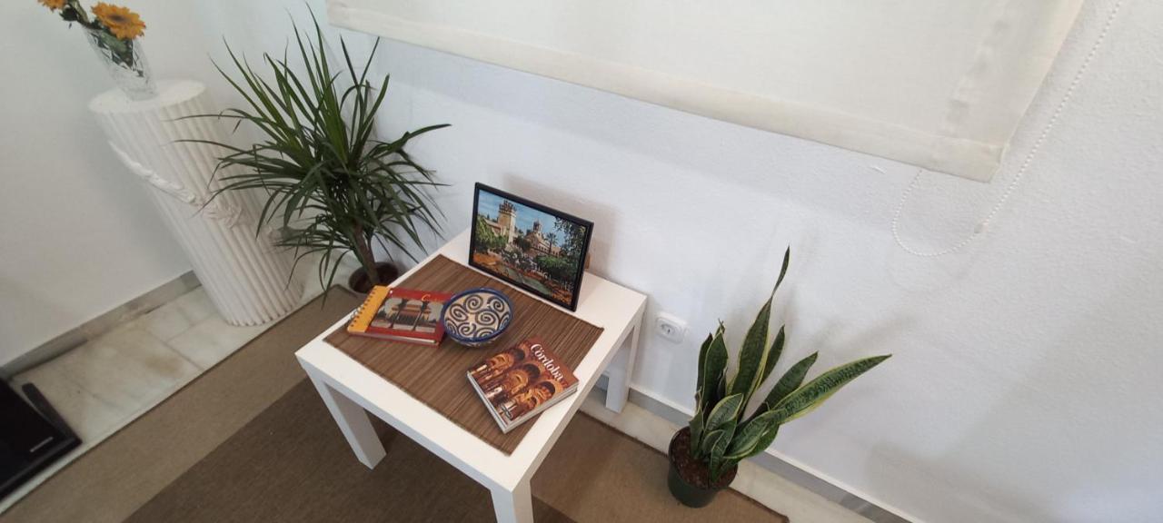 科爾多瓦Apartamento Patio Azul公寓 外观 照片